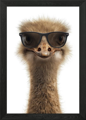 Cool struzzo con occhiali - , da