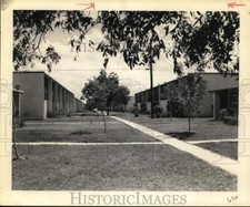 1958 Press Photo New trees