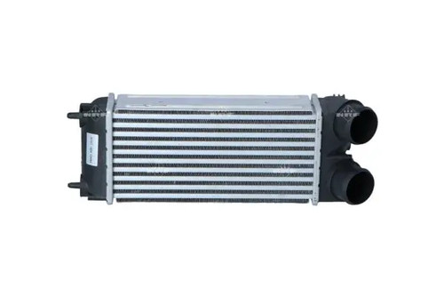 Radiatore intercooler 30191