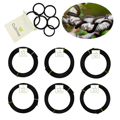 Filo per bonsai - per, set
