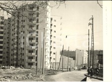 1955 ca NAPOLI FUORIGROTTA Palazzine del VILLAGGIO LAURO in costruzione - Foto