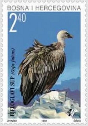 Bosnia 1998 - bosnia,