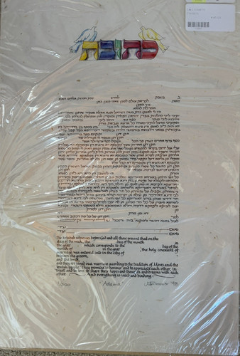 Ketubah adama zimmer - "adama",