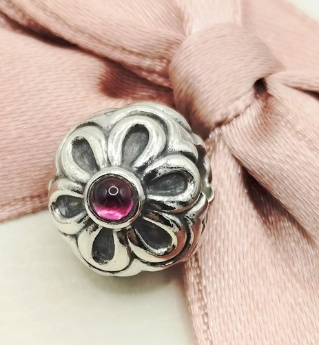 Charm pandora pensionato - charm,