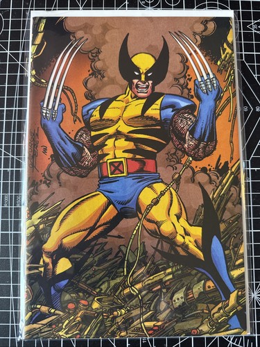 Ghost rider wolverine - rider,