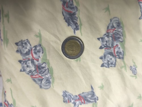 Due euro boccaccio - euro,