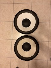 Rarissimi Woofer Philips Made In USA Da 38 cm