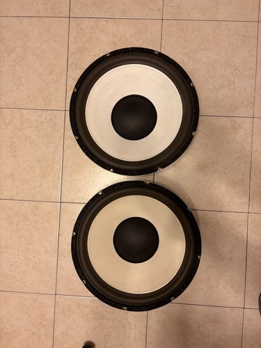 Rarissimi woofer philips - rarissimi, made