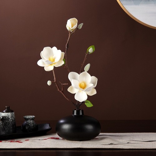 Magnolia compatta fiori - compatta,