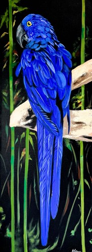 Blue macaw bird acrylic oil - blue,