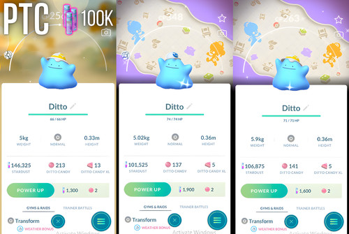 Shiny ditto special pokopia - shiny,