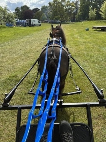 Biothane scala reins 12ft - reins, &