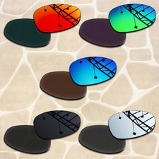 Anti-Scratch Polarized