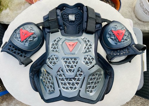 Dainese mx2 roost - dainese,