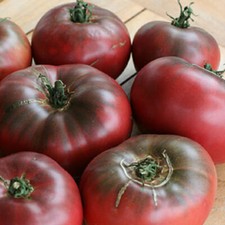 Cherokee purple tomato seeds - tomato,
