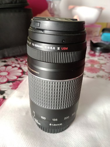 Canon 300mm 5 6 iii - canon, ef