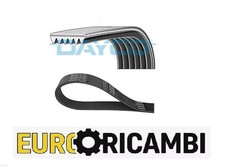 6PK1205 DAYCO CINGHIA SERVIZI