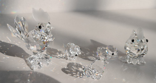 Swarovski gallo 7674 - swarovski,