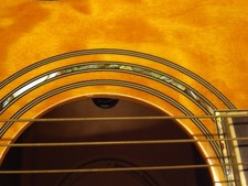 Greg Bennett Osi-Q Consegna sicura dal Giappone