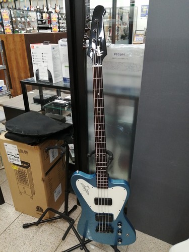 Gibson non reverse thunderbird - gibson,