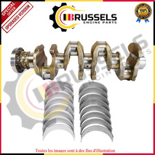 VILEBREQUIN + Kit Ricostruito