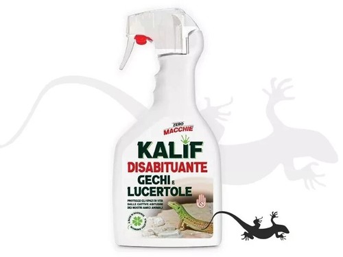 Adama kalif disabituante - adama,