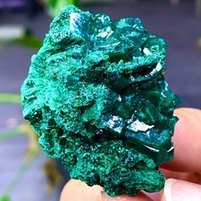Esemplare minerale a grappolo pietra preziosa dioptasi verde naturale 60G