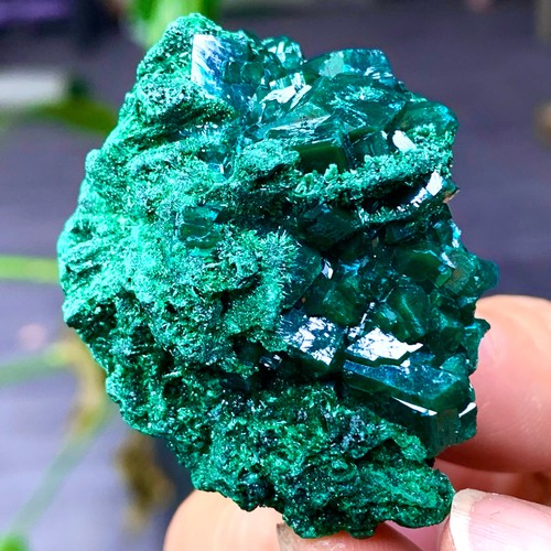 Esemplare minerale grappolo - esemplare, a