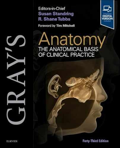 Gray anatomy the anatomical - the,