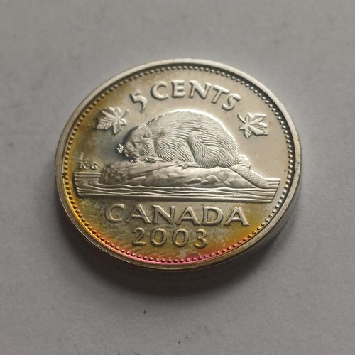 Canada moneta collezione - da,