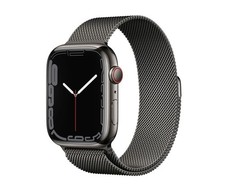 Apple Watch Serie 7 Edition(GPS + Cellular) Cassa 45 mm In Titanio Anno 2022