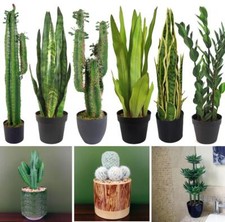 Giungla Piante Artificiali