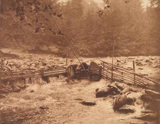 Edward Curtis Hupa Trappola