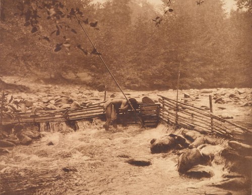 Edward curtis hupa trappola - edward,