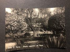 cartolina bianco nero