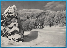 Forlì Foresta di Campigna Anno 1967 FG cartolina vintage postcard MA2368