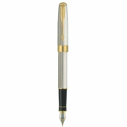 Penna stilografica parker - penna,