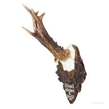 Grande trofeo capriolo