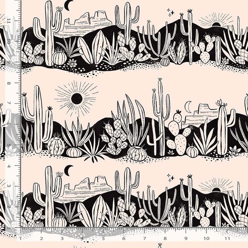 Veduta del deserto all - 'alba, |