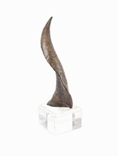 Scultura corno Kudu vintage