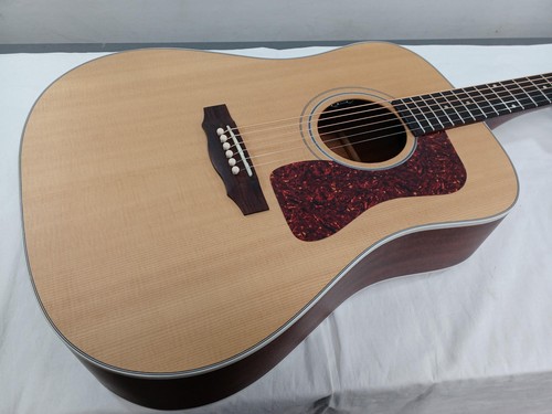 Chitarra acustica elettrica