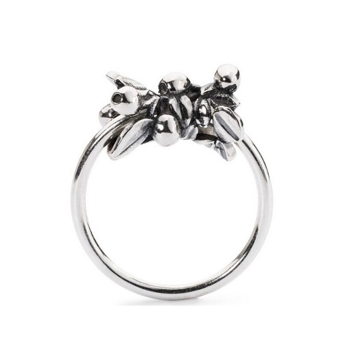 Trollbeads tagri 00274 anello - trollbeads,