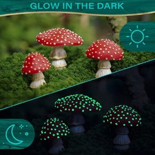 Funghi Del Giardino Delle Fate