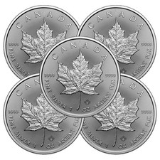 Lot of 5 - 2026 $5 Silver