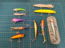 Set ritiro esche branzino