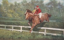 C4- Cp Cartolina Oilette Illustrata Ippica Cavalli - Fp Nvg