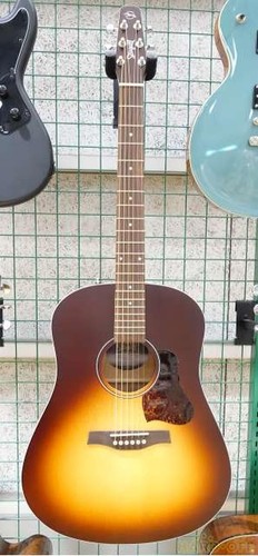 Chitarra acustica seagull - chitarra,