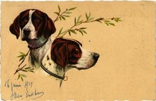 CPA Deutsch Kurzhaar DOGS