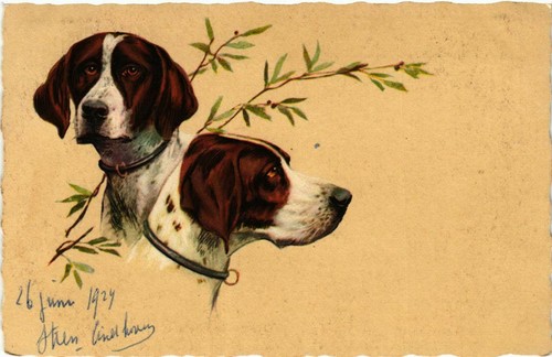 Cpa deutsch kurzhaar - kurzhaar, dogs