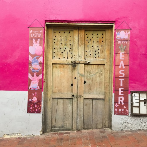 Decorazione porta anteriore - porta,